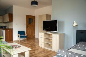 TV a/nebo společenská místnost v ubytování Apartamenty Na Winklu Blue + 3 fotografie