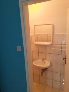 Koupelna v ubytování City Apartment Damir