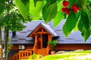 Vonkajšia záhrada v ubytovaní Holiday Home Wellspring