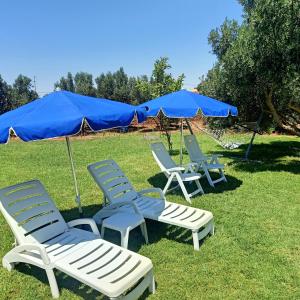 a group of chairs and umbrellas in the grass at Jardin de rayane in Essaouira