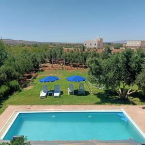 an overhead view of a swimming pool with chairs and umbrellas at Jardin de rayane in Essaouira