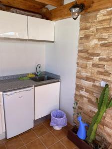 a kitchen with a sink and a cactus at Casa Natalie in El Cotillo +58 photos