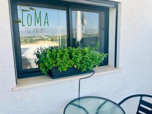 Balkón nebo terasa v ubytování LOMA