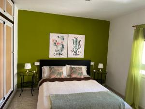 um quarto com paredes verdes e uma cama com almofadas em CORNELIA´S HOME TC3 Atico vista maravillosa em Los Cristianos