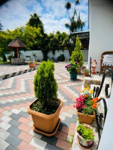 Giardino di Hotel Tramonto