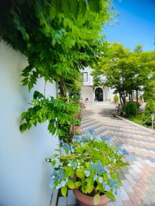 Giardino di Hotel Tramonto
