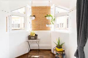 a hallway with two windows and potted plants at YOLO House - Corralejo in Corralejo