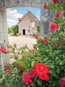 Gallery image of Gîte grande capacité en Touraine in Draché