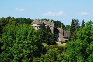 an old house in the middle of the trees at Château de La Vigne in Ally