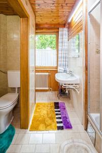 een badkamer met een toilet en een wastafel bij Appartements Scharzenberger und Hinteregg in Schladming