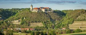 a castle on the top of a hill at Ferienwohnung Alt Freyburg in Freyburg