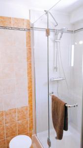 y baño con ducha y aseo. en Gîte Chez Julie, en Sarlat-la-Canéda
