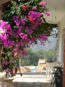 A balcony or terrace at Villa Frangipani with large private pool, Rhodes