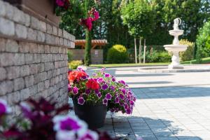 Vonkajšia záhrada v ubytovaní Katzer Villa