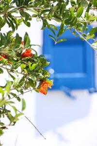 Giardino di Mykonos in White