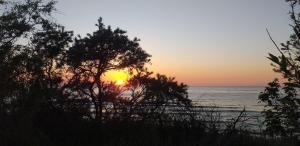 a sunset over the ocean with trees in the foreground at Apartamenty Planeta 105, 108 Mielno - parking w cenie pobytu in Mielno