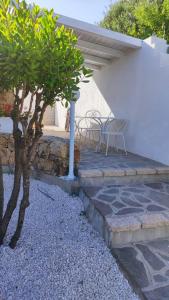 Gallery image of casa l'Ulivariu affittacamere in San Teodoro +67 photos