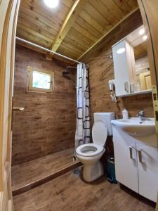 a bathroom with a toilet and a sink at Vila Montana in Dobrilovina +119 photos