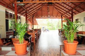 a restaurant with potted plants on tables and chairs at Tranquil Nest Sakleshpur By Lexstays in Sakleshpur