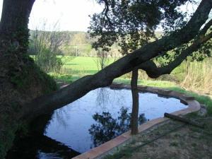 Kép Casa rural con jardín privado szállásáról Navatában a galériában
