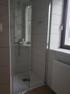 y baño con ducha y puerta de cristal. en Youth Hostel Nika, en Kranjska Gora