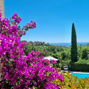 une brousse avec des fleurs roses à côté d'une piscine dans l'établissement Les Hauts de la Riviera, à Cabris
