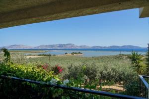 Fotografia z galérie ubytovania Olive grove Cottage-Hermioni,Hydra,Spetses &Poros v destinácii Ermioni