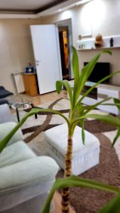 a living room with a couch and a plant at MAXX Lake Apart in Bacău