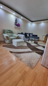 ein Wohnzimmer mit einem Sofa und einem Teppich in der Unterkunft MAXX Lake Apart in Bacău