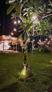 Сад в Luxury Villa Ada Padi Ubud one bed room