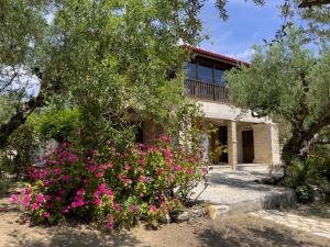 Zahrada ubytování Villa Anta house by the sea