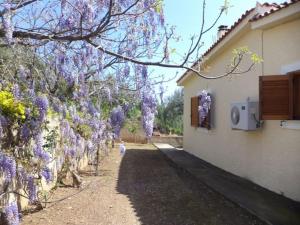 Fotografia z galérie ubytovania Olive grove Cottage-Hermioni,Hydra,Spetses &Poros v destinácii Ermioni + 28 fotografií