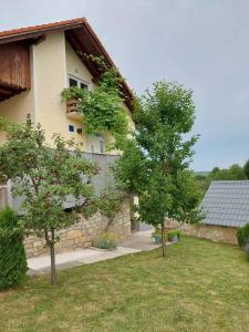 a house with two trees in front of it at Studio apartman HANA in Drežnik Grad
