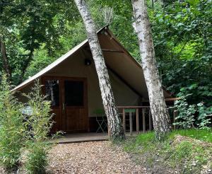 a small cabin in the woods with two trees at Camping Du Perche Bellemois in Bellême