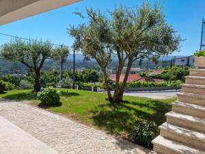 a walkway with two trees and a road at Florindo - Lafões Guest House in Oliveira de Frades