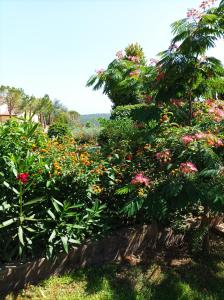 Casa Mimosa Holiday Room في سبرلونغا: حديقة بها الزهور والنباتات الملونة