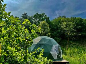 a green tent sitting in the middle of trees at Na Skraju Lasu Domek na Drzewie & Glamping in Kazimierz Dolny