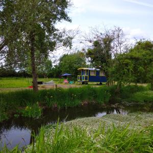 a blue and yellow bus parked next to a pond at Les roulottes du Moulin de Palet 