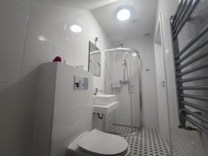 a white bathroom with a toilet and a sink at Agroturystyka Zdolina in Krajno Pierwsze +43 photos