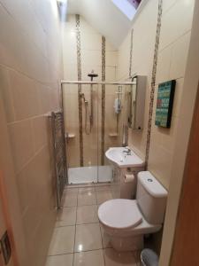 a bathroom with a shower and a toilet and a sink at Cosy 1 bedroom cottage, Ideal quiet getaway. in Creeslough