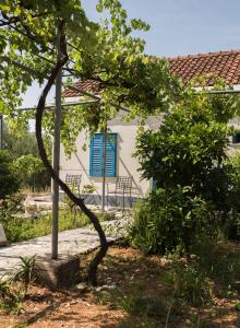 a house with a blue window and a tree at Studio apartman ROZA in Ston