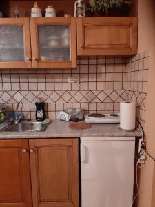 A kitchen or kitchenette at Comfy Apartment near the Sea