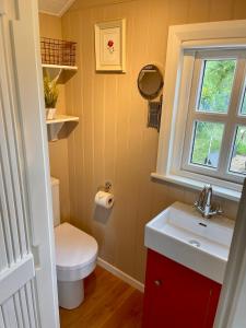 łazienka z toaletą, umywalką i oknem w obiekcie Sheelin Shepherds Hut 2 with Hot Tub w mieście Mountnugent
