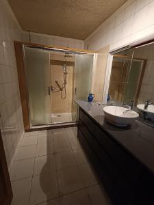 ein Bad mit einer Dusche, einem Waschbecken und einem Spiegel in der Unterkunft le Moulin des Moines in Châtenois