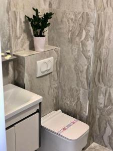 Imagem da galeria de AURA TOWER Apartments by Gaby em Rafailovici