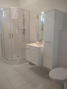La salle de bains blanche est pourvue d'une douche et de toilettes. dans l'établissement Tandem apartman, à Kápolnásnyék