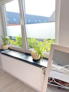 un rebord de fenêtre avec une plante sur lui dans l'établissement Residence Stay Eva Upstairs Brunch Café, à Gand