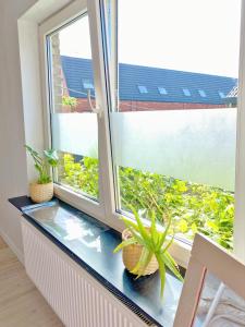 a window with a plant sitting on a window sill at Residence Stay Eva Upstairs Brunch Café in Ghent