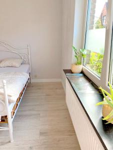 een slaapkamer met een glazen aanrecht en een raam bij Residence Stay Eva Upstairs Brunch Café in Gent