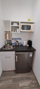 a small kitchen with a sink and a microwave at Forestine Guesthouse in Hévíz +13 photos